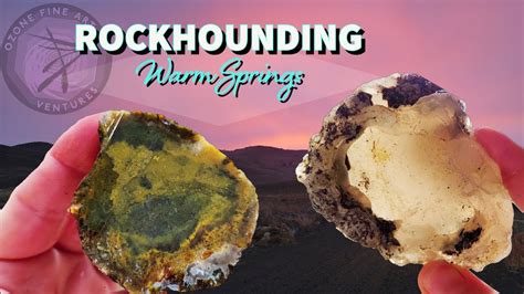 FOSSILS OF IDAHO. . Warm springs reservoir rockhounding